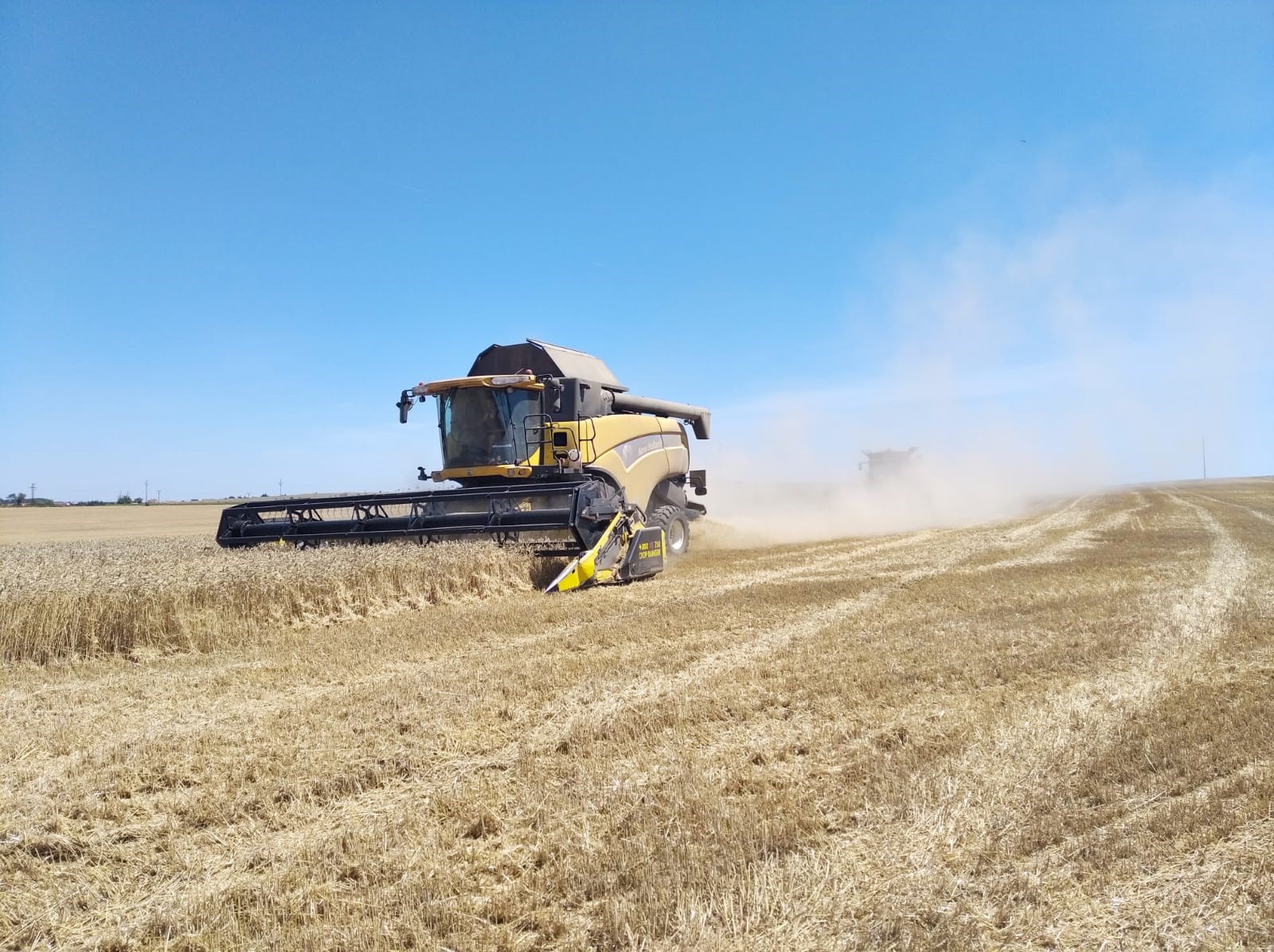 Sklízecí mlátička New Holland CX se sklízecím adaptérem BISO CropRanger.