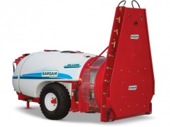 Bargam Jet Fruit
