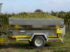 BISO Bacchus 3