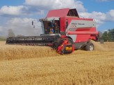 BISO CropRanger s Massey Ferguson Cerea