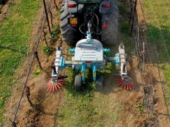 Jak omezit herbicidy v příkmenném pásu
